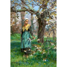 Vintage Repro postcard - Young Girl in Orchard - Irish Artist Maria Dorothy Webb