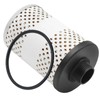 Hoypeyfiy 496-5 Fuel Tank Filter Element with Water Block, Replacement