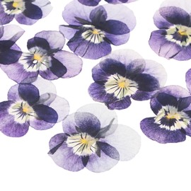M METERXITY 12-Pack Dried Pressed Flowers for Resin, Real Natural Bulk Dry Floral for Crafts/DIY Jewelry/Soap Making/Scrapbooking/Candle/Epoxy Resin Supplies/Flower Painting [Light Purple]