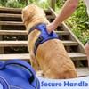 Funfox Dog Harness Medium No Pull, Adjustable 2 Clips Anti-Pull