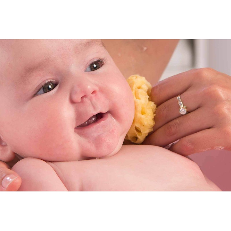 Rotho Babydesign Mediterranean Sponge, Natural Product, Diameter: 9-10 cm, Yellow