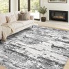 Jessibou Area Rugs for Living Room: 6x9 Abstract Washable Rug