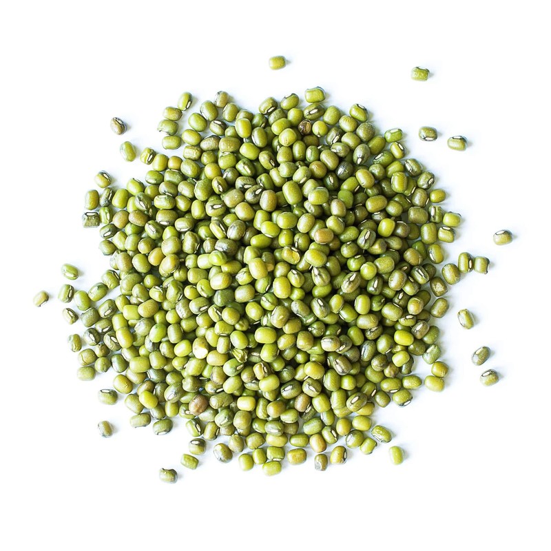Food to Live Organic Mung Beans, 1 Pound – Non-GMO,