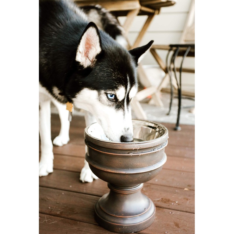 Pet Junkie Summit Single Elevated Dog Bowl Stand with Removable
