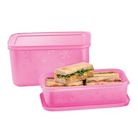 Tupperware Freezer Mates PLUS Medium Deep and Medium Shallow Container Set of 2 in Pink