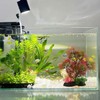 JDCMEI Aquarium Artificial Plants Seaweed, 25cm Aquarium Simulation Artificial Green