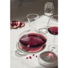 Schott Zwiesel Decanter Muse V 1000 G