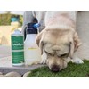 DozzlePets FoamZyme - 32oz Outdoor Pet Odor Eliminator, Safe in