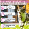 Colágeno Para Gato Salud Articular Digestiva Piel, Vitaminas