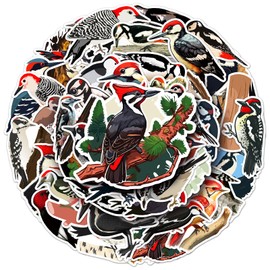 Woodpecker Stickers 50 Pcs Waterproof Cartoon Bird Sticker for Water Bottles Skateboard Laptop Scrapbook Computer Phone Notebook Bumper Car,Vinyl Cute Animals Sticker for Kids Teens