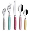 ANNOVA Silverware Set 20 Pieces Stainless Steel Color Handle With