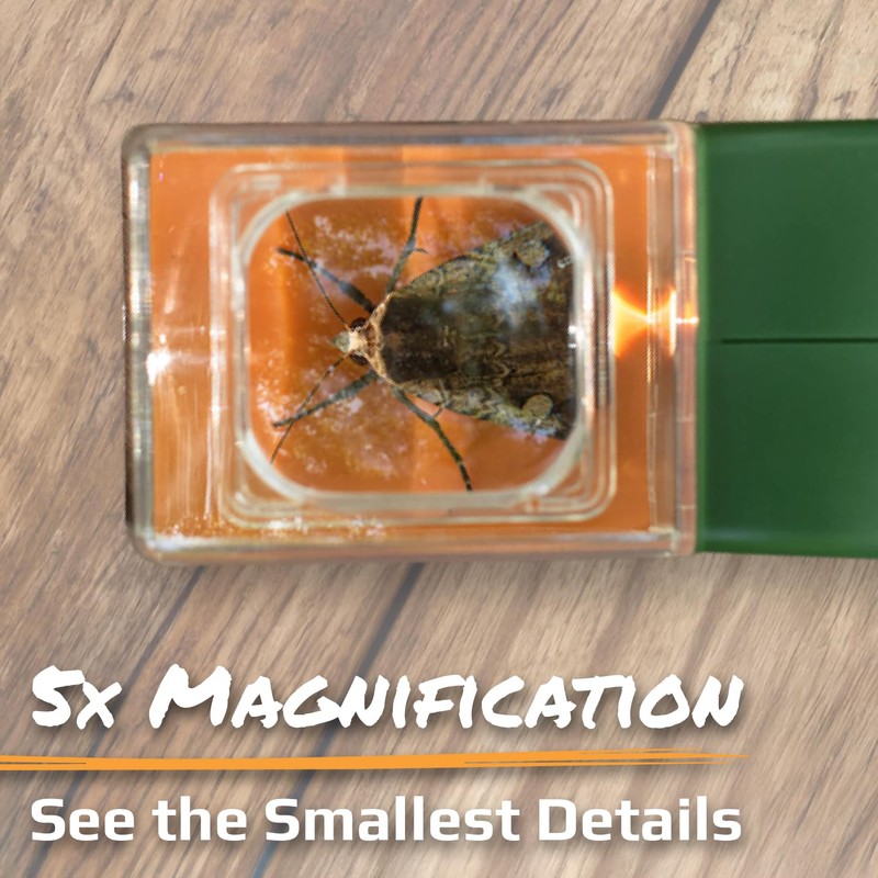 Carson BugView 5X Magnifying Glass Quick-Release Bug Catcher Indoor and