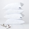 Moonsea Waterproof Zippered Pillow Protector，4 Pack King Size 20 x