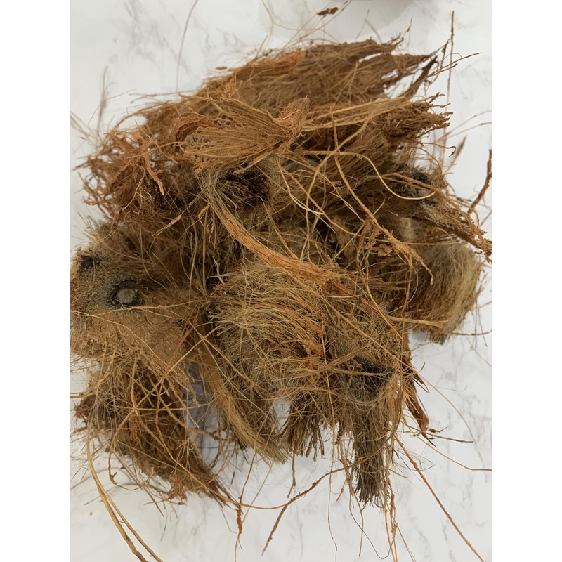 Natural Coconut Husk Fibres, Raw Coir Material, Brown