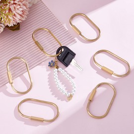 UNICRAFTALE 6Pcs Oval Keychains Holder Gold Screw Lock Clip Metal Key Ring for Men Women Keychain Hook Holder Durable Simple Carabiner Keychains Clip for Car Keys Handbag Purse
