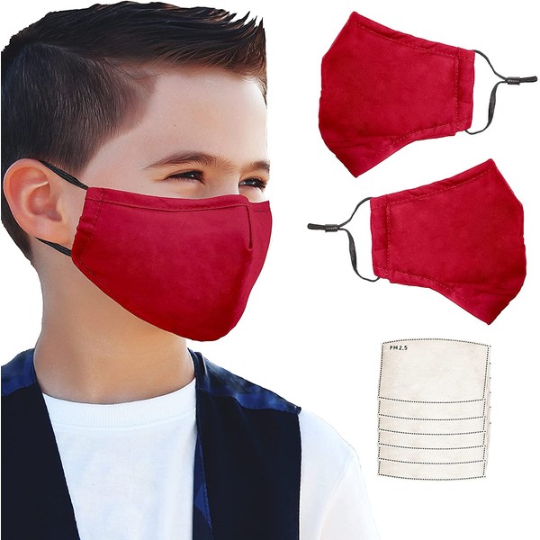 Multi-Pack Cloth Face Mask, Adjustable Ear Loops, Comfortable Nose Wire and PM 2.5 Filters, Small Medium Size Face Cover