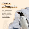 Fahlo Penguin Tracking Bracelet – Track a Real Penguin’s Journey