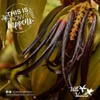 Villa Vainilla Mexican Vanilla Beans - All Natural, Pure, Whole