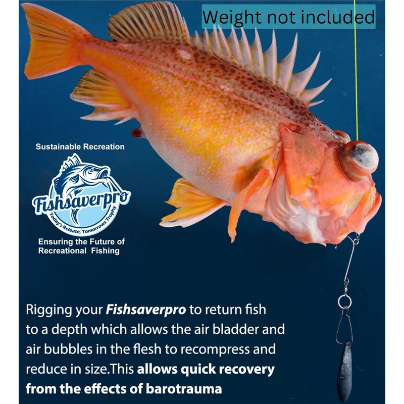 Fishsaverpro 2 Pack Fish Release Weight Descending Device - Compact