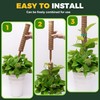 SOIL TENDERS Moss Pole for Plants,6 Pack 40cm Monstera Plant