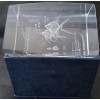 Glass Crystal Glass 3D Laser Etched Solid Cube Fish-Decorativ