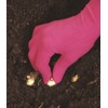 Foxgloves Original Gardening Gloves (Fuchsia Pink, Medium)
