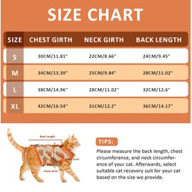 DENTRUN Cat Surgical Bodysuit Comfortable Bodysuit for Cats After Surgery with Tight Fitting Cut Perfect for Skin Irritation Wound Care Female (Orange, M)