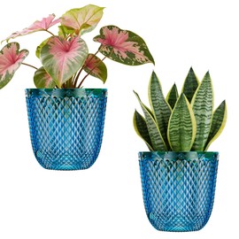 2 Pack Self Watering Pots, 5.7 Inch, with Drainage Holes, Klein Blue