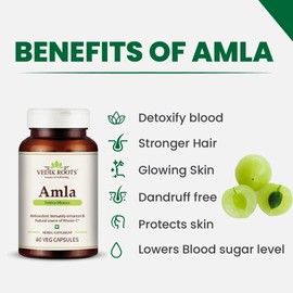 Generic Amla Capsules 60_ Organic Antioxidant Immunity Enhancer Natural Source of Vitamin C and Hair Growth Herbal Supplements (Pack of 2)