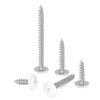 #8 x 2 (60 PCS) Modified Truss Head Wood Screws,