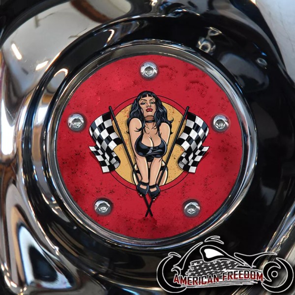 AMERICAN FREEDOM HARLEY DAVIDSON TIMING COVER BIG TWIN CAM, MILWAUKEE