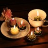 24 Velas de Cactus,Velas de Suculentas,Juego velas suculentas con caja