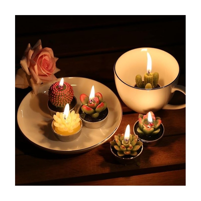 24 Velas de Cactus,Velas de Suculentas,Juego velas suculentas con caja