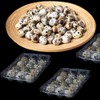 Pack of 30 Quail Egg Boxes, 12 Grid Quail Egg