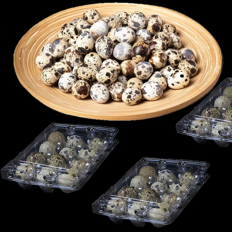 Pack of 30 Quail Egg Boxes, 12 Grid Quail Egg