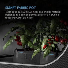 AC Infinity Heavy Duty Fabric Pots, 10 Gallon Aeration Reusable Grow Bags 5-Pack with 500G Thick Nonwoven Fabric and Multi-Purpose Rings, for Low Stress Plant Training Fruits, Vegetables, and Flowers