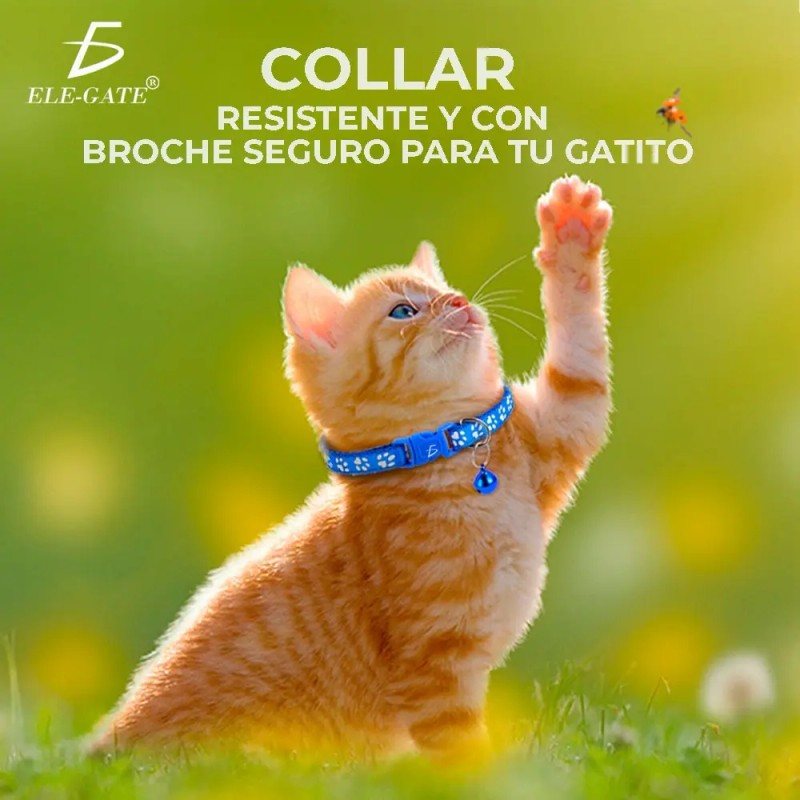 Collar Reflejante Perros Gatos Seguridad Broche Placa Nombre