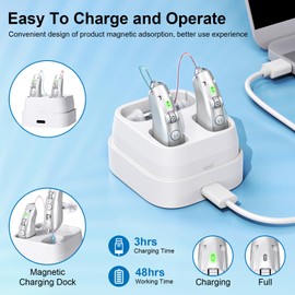 Rechargeable Hearing aids for Seniors, Behind-The-Ear BTE Hearing aids, Digital Personal amplifiers, Hearing Devices with Noise Reduction(Silver)