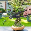 Garden Tree Branch Potted Cutter Pruning Shears Bonsai Trimming Modeling