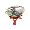 Natural Abalone Shell with Wooden Display Stand for Smudging