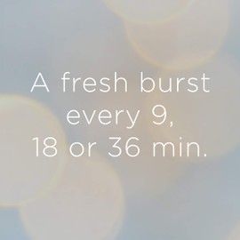 Glade Large Automatic Duo Refills, Floral Blossom, 269 ml