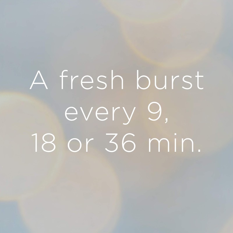 Glade Large Automatic Duo Refills, Floral Blossom, 269 ml