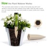 Slow Seep White Terracotta Vacation Plant Waterer 8 Pack Self