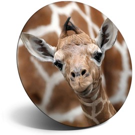 Destination Vinyl ltd Magnet for Refrigerator, Fridge - Cute Baby Giraffe Face Wildlife for Office, Cabinet and Whiteboard, Magnetic Stickers, 12323