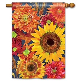 Autumn Toss House Flag - 28" x 40" - BreezeArt