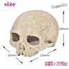 Sugarello Reptile Shelter Hideaway Terrarium Cage Reptile Breeding Aquarium Decoration