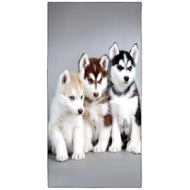 Zomer Beach Towel Large 90 x 180 cm Quick-Drying Microfibre Printed with Husky Puppy Motif