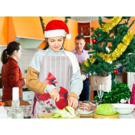 D24TIME Christmas Cardinal Birds Aprons for Women with Pockets Red Cardinals on Branches Berry Unisex Cooking Apron Xmas Kitchen Apron for Cooking Gardening Baking Party Supplies Xmas Gift Mother Gift