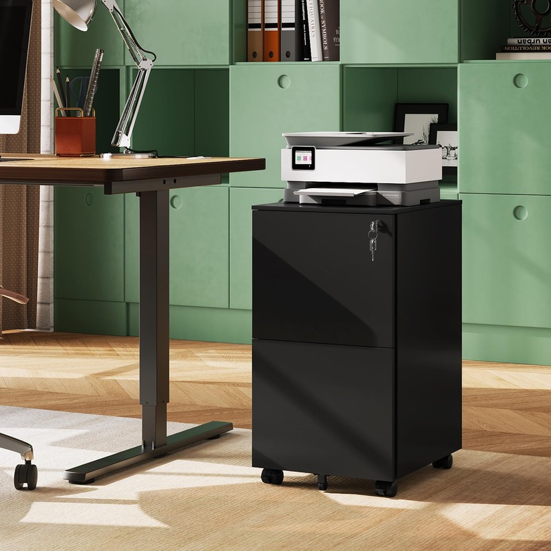 DEVAISE 2-Drawer File Cabinet with Lock, Rolling Metal Filing Cabinet