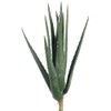 SilksAreForever 17" Real Touch Aloe Artificial Stem -Green (Pack of